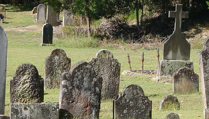 Stonework & Materials Conservation - Long Blackledge Architect